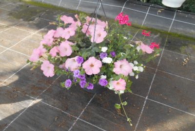 Hangpot
